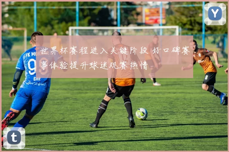 世界杯赛程进入关键阶段 好口碑赛事体验提升球迷观赛热情